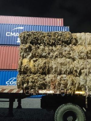Fire or Smoke Affected Stock of Cotton Bales